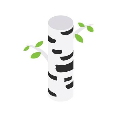 Birch tree isometric 3d icon