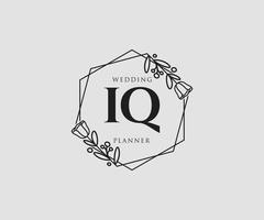 Initial IQ feminine logo. Usable for Nature, Salon, Spa, Cosmetic and Beauty Logos. Flat Vector Logo Design Template Element.