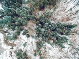 Forest In Winter From Above photo