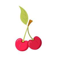 Vector illustration of an isolated cherry tree. Juicy ripe berries on a white background. Summer tropical fruits with shadows and highlights.