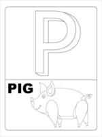 Alphabet Animal Coloring page for kids line art vector