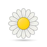 Daisy Cute Flower, simple shadow, daisy vector, flower sign. vector