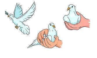 Dove with a twig in its beak. Doves in hand. World peace. vector