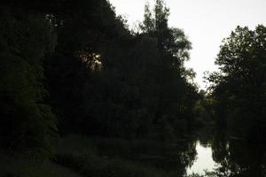 Fan on pond in park. Forest reflection in water. Lake after sunset. photo