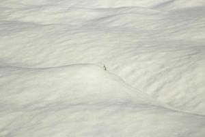 Snowy texture. Details of winter. Snowy field. photo