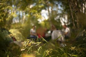 plantas en el parque. vista de fondo borroso. bosque turístico. ballenas de caminata. foto