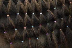 Horse hair texture. Braided pigtails with elastic bands. Horse Details. Horse's mane. photo