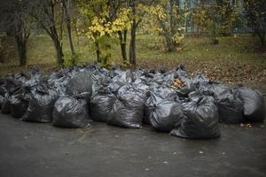 día de limpieza en rusia. un montón de bolsas de hojas. bolsas de basura negras. después de limpiar el patio. foto