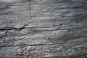 Weathered Natural Wood Background Texture photo