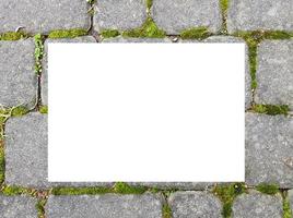 Blank frame on road paving stones with green moss in gaps between. Background with grey cobblestone border and rectangular white frame, place for text. photo