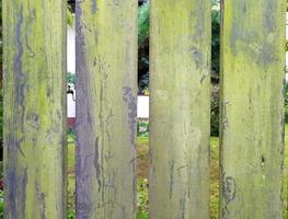 Old wood fence with light gaps. A close plan of the four boards with gray and green moss. photo