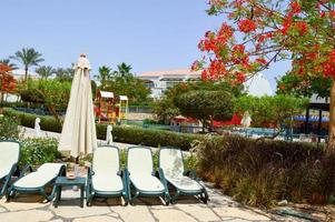 High beautiful palm trees with green leaves and chaise lounges with folded sun umbrellas photo