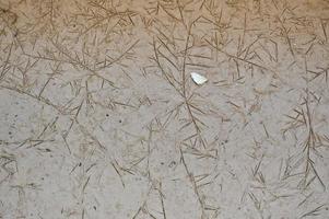 Clay brown wet ground with small cracks and patterns. Texture, background photo