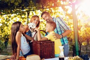 Picnic At Vineyard photo