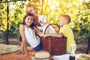 Picnic At Vineyard photo