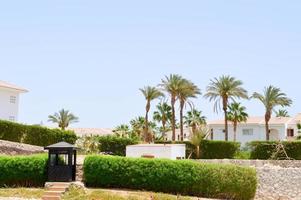 Beautiful wooden black guard booth guarding the post outdoors in a warm tropical exotic country at a spa in the background against a background of green plants and palm trees photo