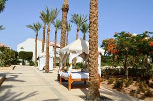 Baldachin white canopy on pillars above the bed and palm trees on a tropical warm sea resort, rest photo