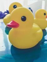 retrato de un pato amarillo de goma amarillo. un juguete para bañarse en el baño con niños y adultos. pájaro de juguete flotante para agua y natación foto
