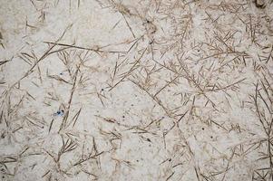 Clay brown wet ground with small cracks and patterns. Texture, background photo