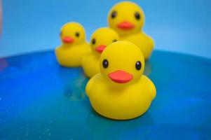 Beautiful yellow rubber bathtub toy ducks swim on a blue water background photo