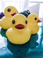 Beautiful yellow rubber bathtub toy ducks swim on a blue water background photo