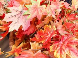 textura de hermosas hojas de otoño de arce talladas en rojo brillante. el fondo foto