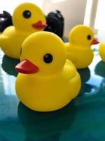 yellow rubber ducks floating on the water of epoxy blue resin. glare on the interior picture. family of ducks made for swimming with children. Cute bathroom decorations photo