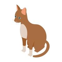 Cornish rex cat icon, isometric 3d style vector