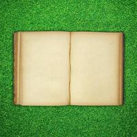Old book open on green grass background