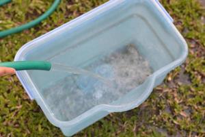 Someone hand holding green garden hose pouring water from rubber tube put in the blue bucket at garden. photo