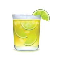 Citrus realistic cocktail vector
