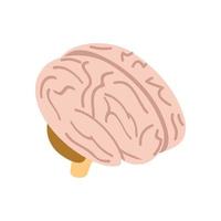 Human brain isometric 3d icon vector