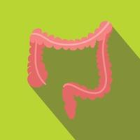 Colon flat icon with shadow vector