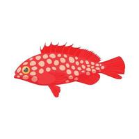 Hemichromis fish icon, cartoon style vector