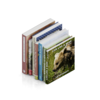 isometrische bücher 3d rendern png