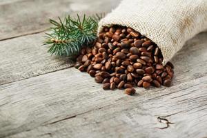 Pine nuts in a bag of burlap on an old vintage background with a fir green branch. In country style. photo