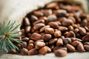 Pine nuts in a bag of burlap on an old vintage background with a fir green branch. In country style. photo