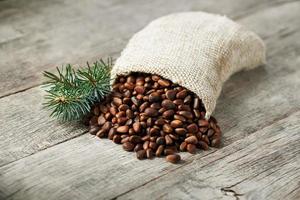 Pine nuts in a bag of burlap on an old vintage background with a fir green branch. In country style. photo