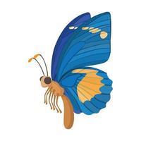 Blue butterfly icon, cartoon style vector