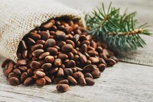 Pine nuts in a bag of burlap on an old vintage background with a fir green branch. In country style. photo