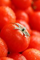 tomates cherry frescos con primer plano. tomates rojos de fondo. macro. foto