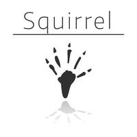 Squirrel animal track vector