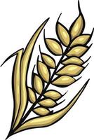 Wheat stalk, wheat beer vector