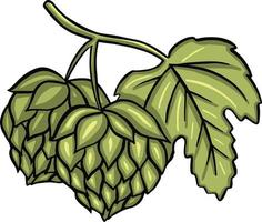 Hops beer plant vector illustration