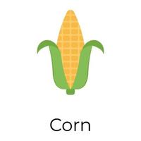 Trendy Corn Cob vector