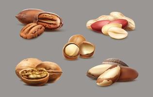 Colección de iconos vectoriales realistas en 3D. nueces, macadamia, avellana, nuez. vector