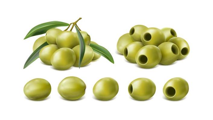 Olive Vector Art, Icons, and Graphics for Free Download