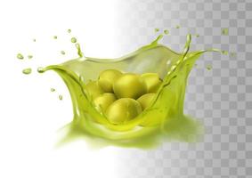 3d realistic vector icon. Olive oil splash. Green olives.