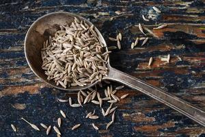 Cumin Seeds Spilled from a Spoon photo