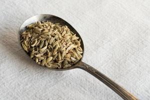 Fennel Seeds on a Spoon photo